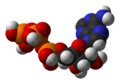 Adenosine triphosphate