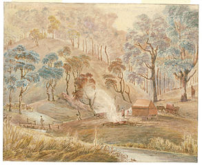 Watercolour painting of Campbells River, by John Lewin (1815)