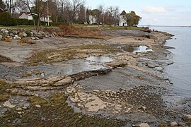 Ordinary mill or windmill, tidal flats at low tide, from the wharf