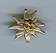 German Alpine Club logo pin.[14]