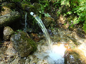 Minutnik spring