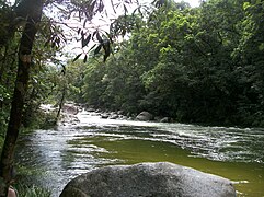 Mossman river and Gorge, Daintree National Park, outskirts of Cairns