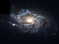 NGC 1084 by the Hubble Space Telescope