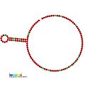 RF_site6: Secondary structure taken from the Rfam database. Family RF01094. Derived from Pseudobase PKB00128