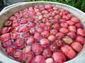 Fruit soaking at nursery