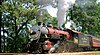 The steam locomotive powered train of the Texas State Railroad in 2005