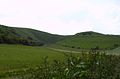 Uffington - White Horse Hill and Dragon Hill (right)