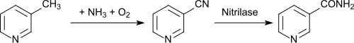 Nicotinsäureamid aus 3-Methylpyridin