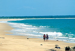 A walk at Casuarina Beach