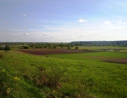 Nevėžis valley nearby Apytalaukis