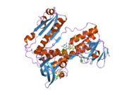 2aaq: Crystal Structure Analysis of the human Glutahione Reductase, complexed with GoPI