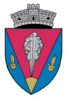 Coat of arms of Bârghiș