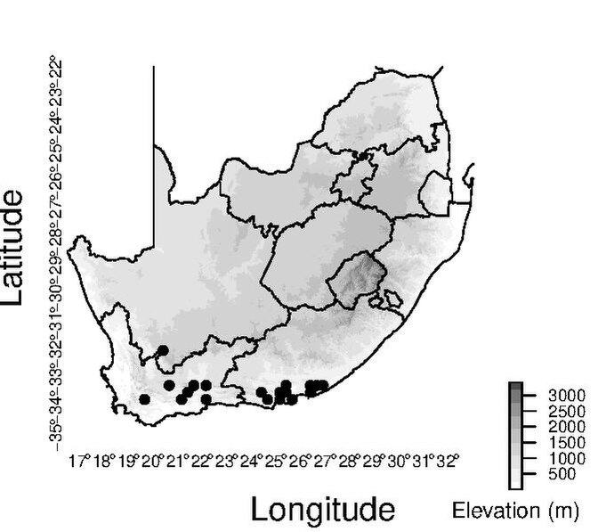 File:Smegacarpus-map.pdf