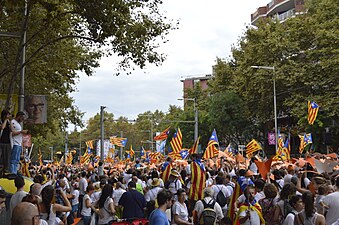 Independentist demonstration during the Diada of 2015