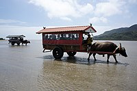 沖繩縣