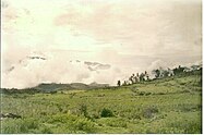 Green grasses in the foreground with hills and clouds in the background.