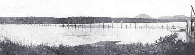 Salmon Rack Across Wood River, Alaska 1917