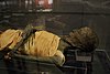 The Usermontu mummy