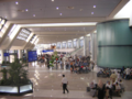 Check-in sector Hall 1 (Terminal 1)