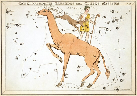 Camelopardalis