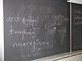 Blackboard used in class at Harvard shows students' efforts at placing the ü and acute accent diacritic used in Spanish orthography