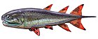 一種腫大魚（Strunius rolandi）