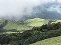 Greenery seen from Tadiandamol Peak