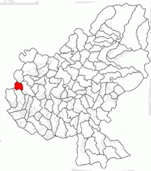 Location in Mureș County