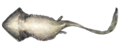Life reconstruction of Diplocaulus with skin flaps