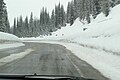 Lolo Pass, Montana side, approaching summit, westbound