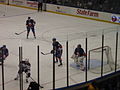 New York Islanders vs. Phoenix Coyotes