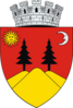 Coat of arms of Fălticeni