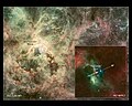 从剑鱼座30高速脱离的奔逃星。影像是哈伯太空望远镜拍摄的。