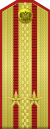 Lieutenant Colonel