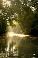 Image 1alt=Boat on a river in a densely forested plain. (from Culture of Bangladesh)