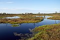 Kakerdaja bog