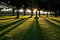 Taken early in the morning looking from Wandsworth Park towards Wandsworth Bridge.