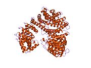 1qgk: 內輸蛋白b和內輸蛋白a的N末端內輸蛋白b鏈結（IBB）結合後的結構