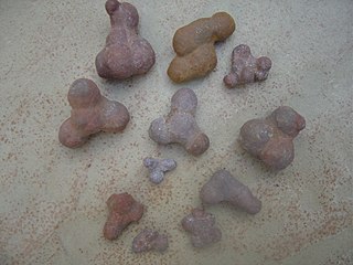 The male genital-shaped pebbles found on the southern beaches of the lake