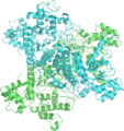 PDB: 21EA​. Pyruvate dehydrogenase. E. coli.