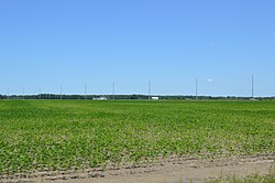 Fields northwest of Kalida