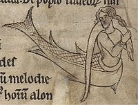 Siren in a Second Family bestiary, Additional manuscript