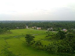 Village scene of Budhabare with corn fields and betelnut trees