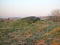 The Carlin stone from the Commoncraigs Community Woodland