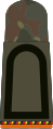 Stabsunteroffizier der Reserve (Army staff sub-officer reservist, service uniform, military police)