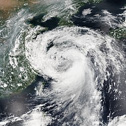 8月1日的强热带风暴娜基莉
