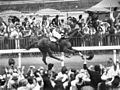 Image 48Phar Lap winning the Melbourne Cup, "the race that stops a nation" (from Culture of Australia)