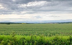 Rolling grass hills just outside Fort St. John