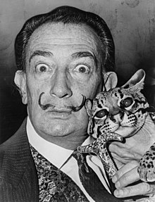 Salvador Dalí with his pet ocelot, Babou, 1965