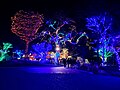 The annual Zoolights tradition